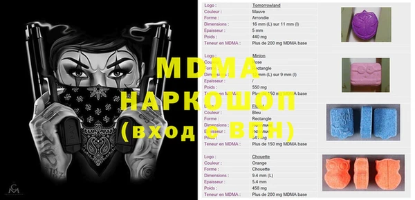 индика Кулебаки