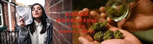 индика Кулебаки