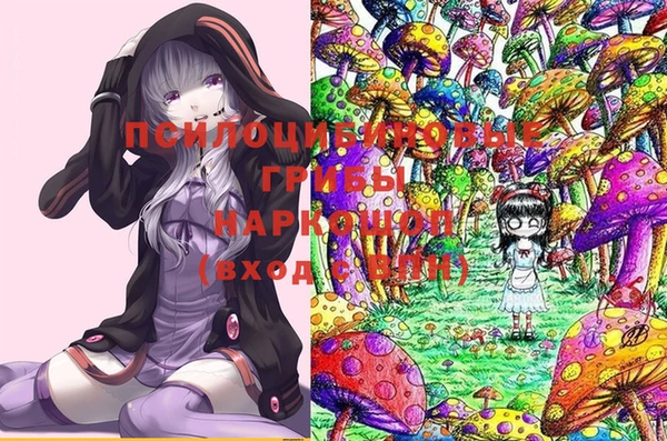 метадон Арсеньев