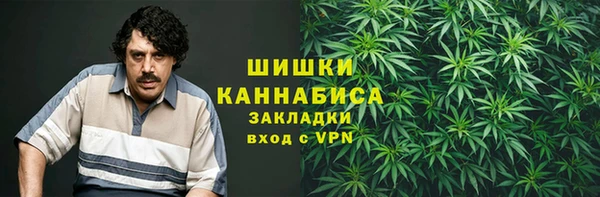 индика Кулебаки