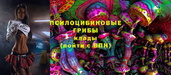 метадон Арсеньев